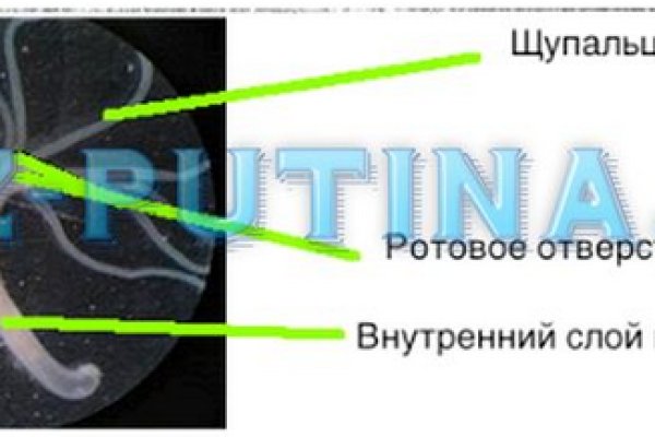 Кракен даркнет зайти