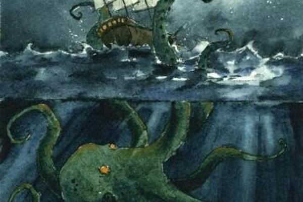 Kraken 24 top