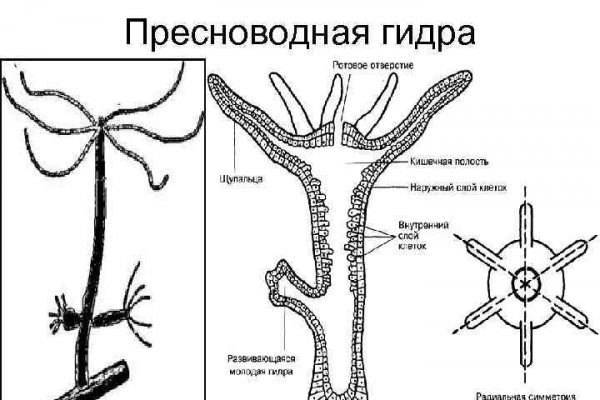 Даркнет заказ