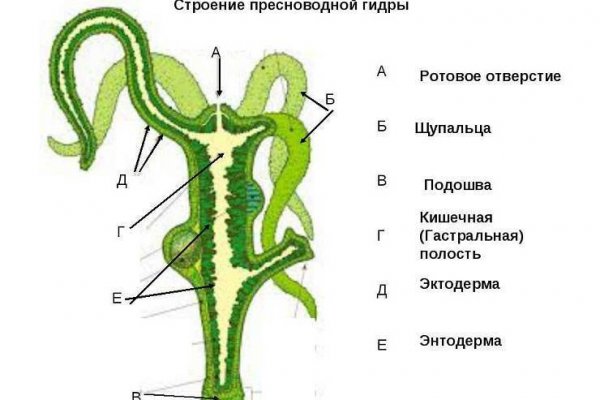 Кракен сайт юнион